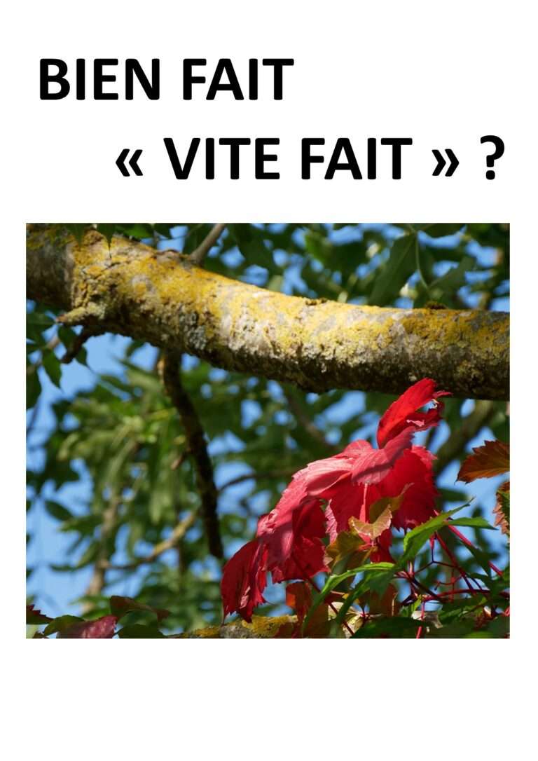 Chat GPT,chercheurs