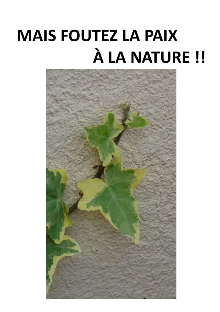 produits naturels