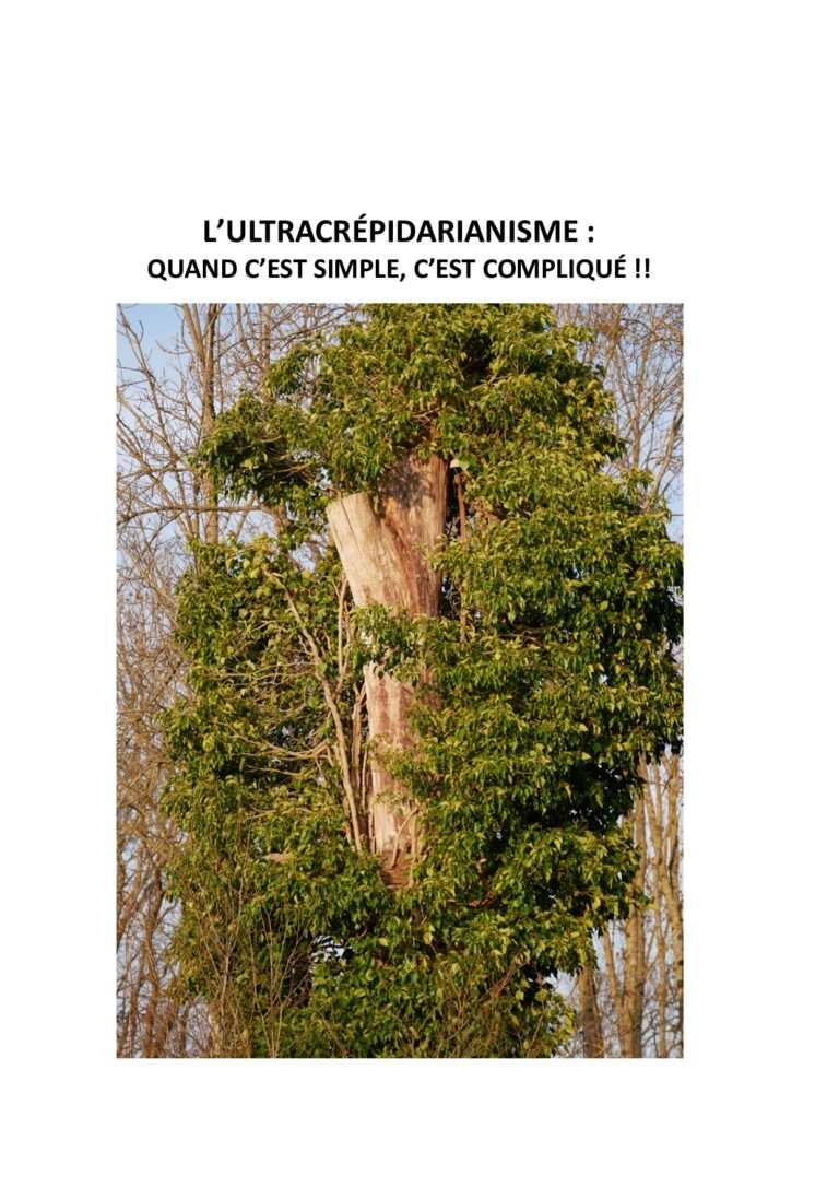 ’ultracrépidarianisme