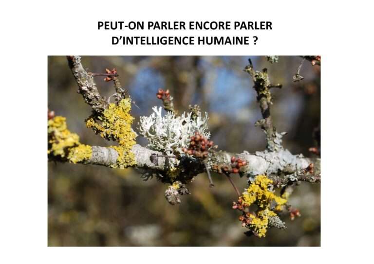 intelligence,réseaux sociaux