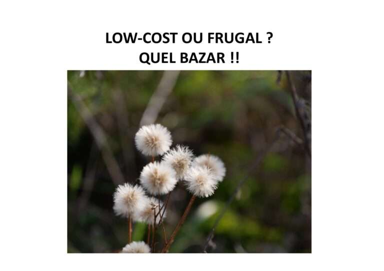 low-cost,frugal