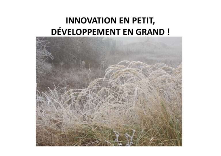 développement,innovation