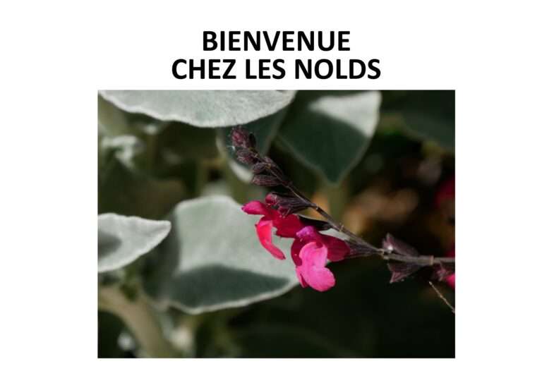 240516 bienvenue chez les nolds