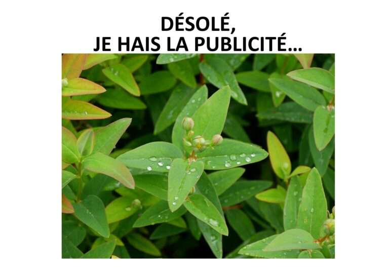 240528 désolé je hais la publicité