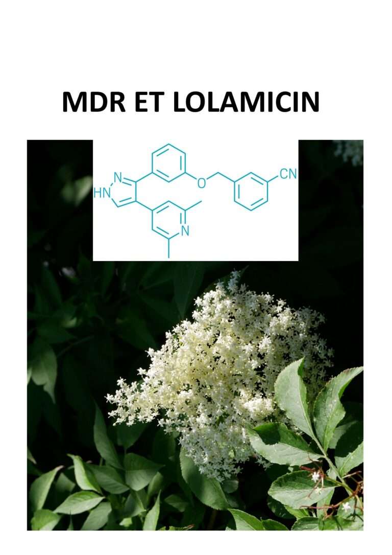 240531 mdr et lolamicin