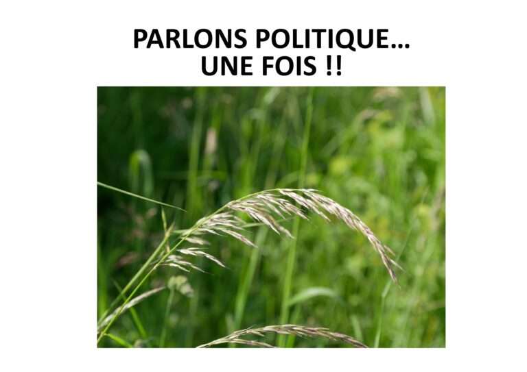 240611 parlons politique une fois