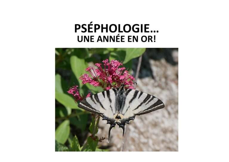 240612 pséphologie une année en or