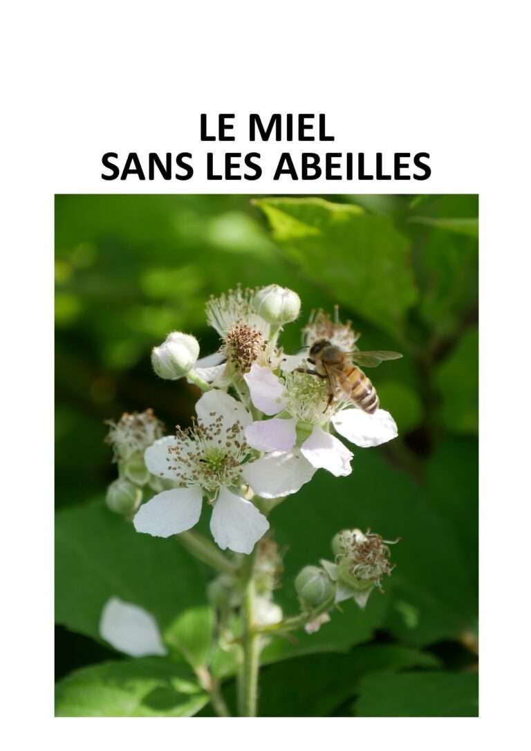240623 le miel sans les abeilles