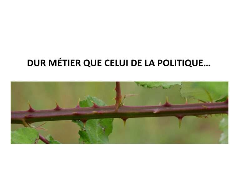 240625 dur métier que celui de la politique