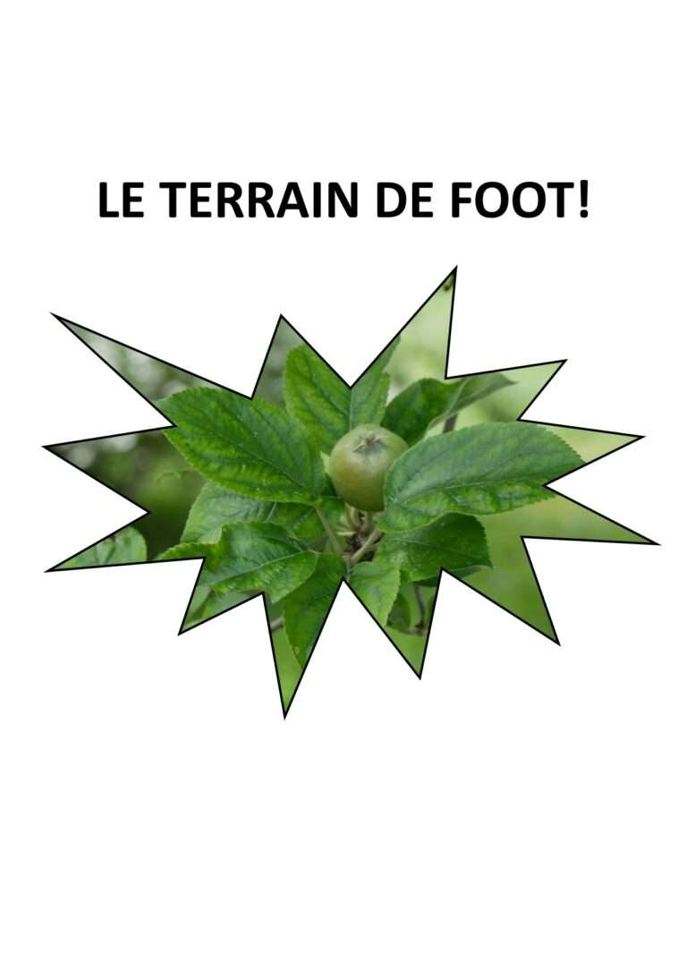 240709 le terrain de foot