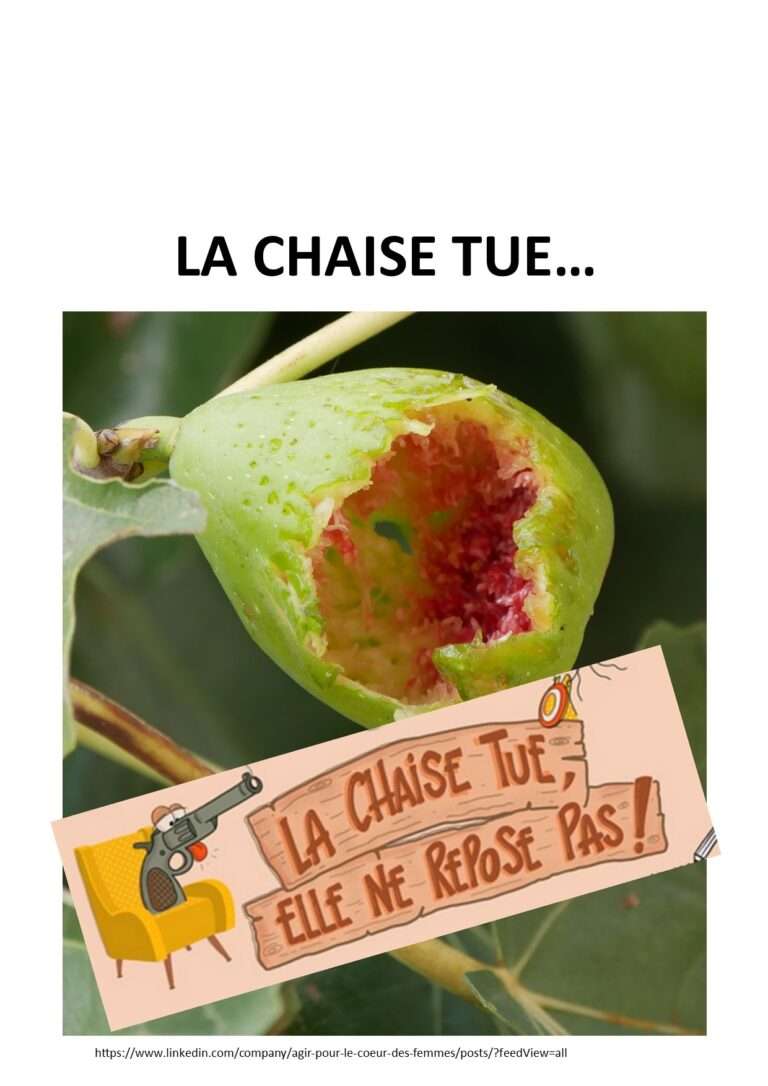 240710 la chaise tue