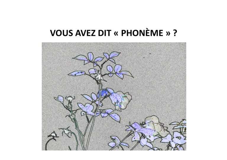 240717 vous avez dit « phonème »