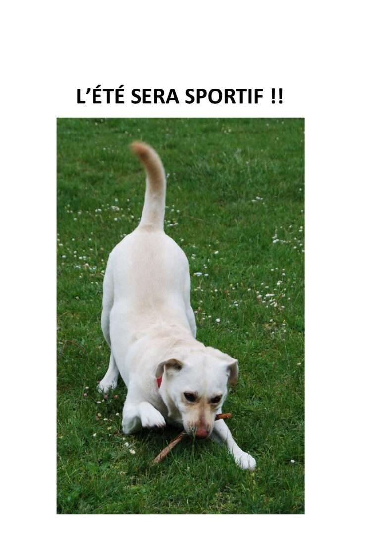 240721 l’été sera sportif