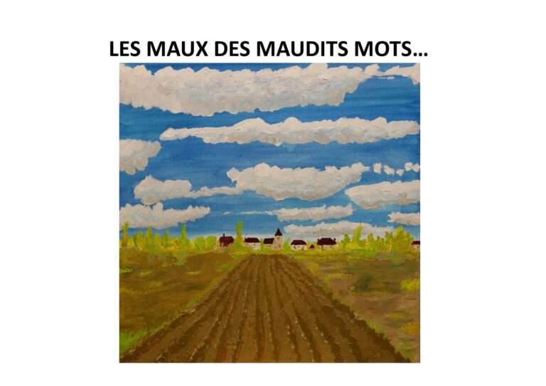 240731 les maux des maudits mots