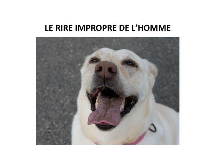 240806 le rire impropre de l’homme