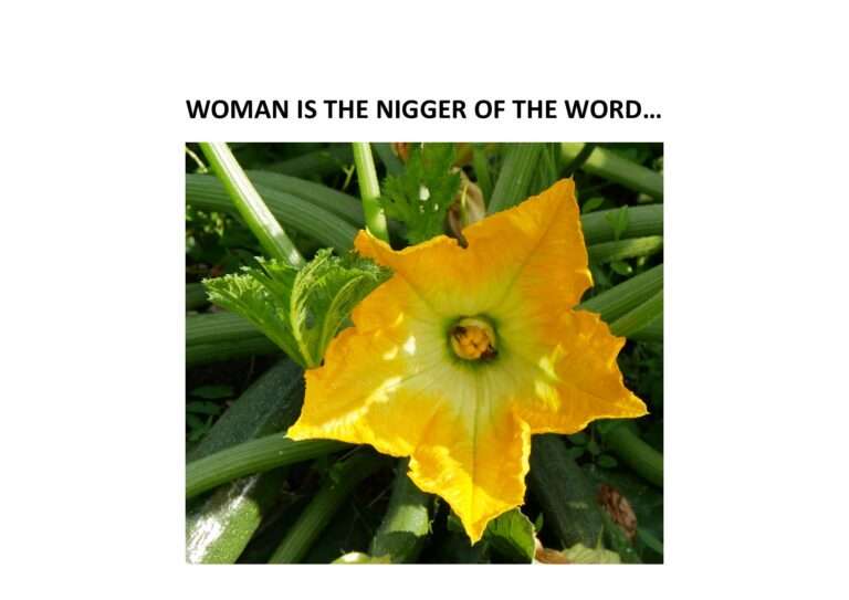 240816 woman is the nigger of the word