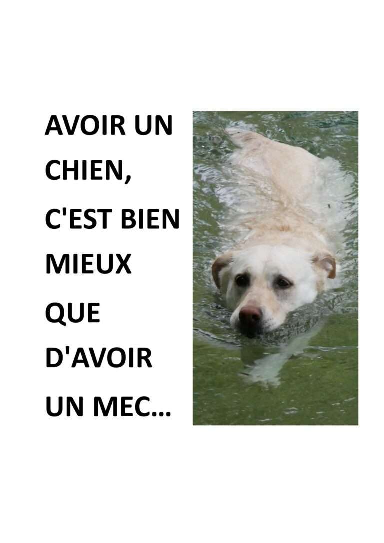 240818 avoir un chien c'est bien mieux que d'avoir un mec