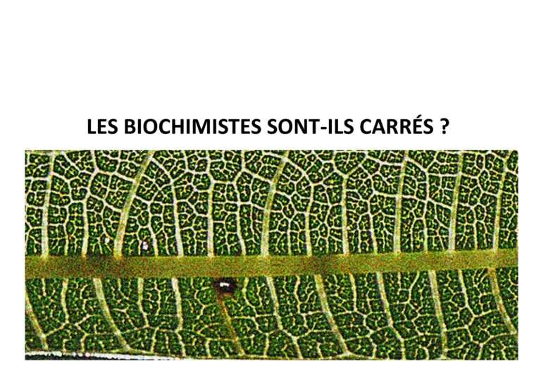 240905 les biochimistes sont ils carrés