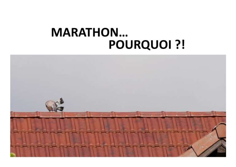 240908 marathon pourquoi