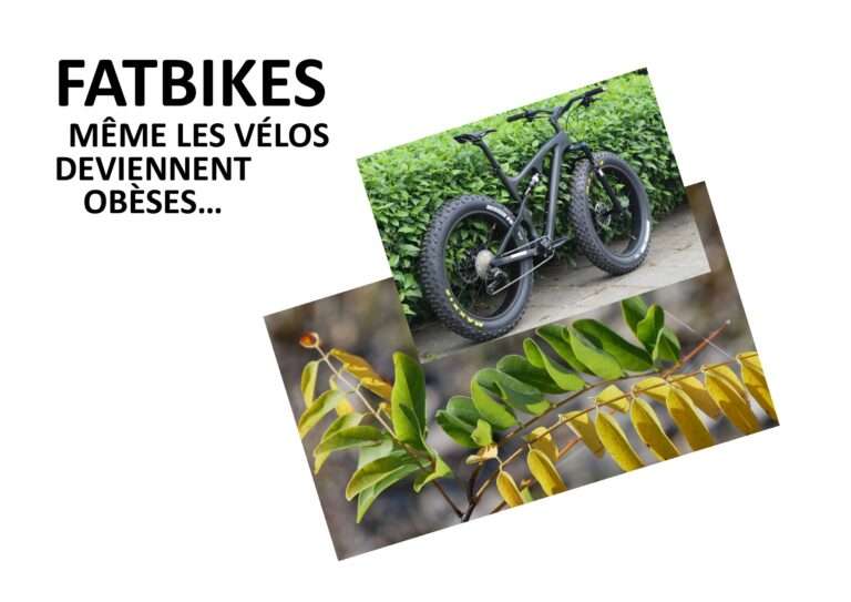 241112 fatbikes ; même les vélos deviennent obèses