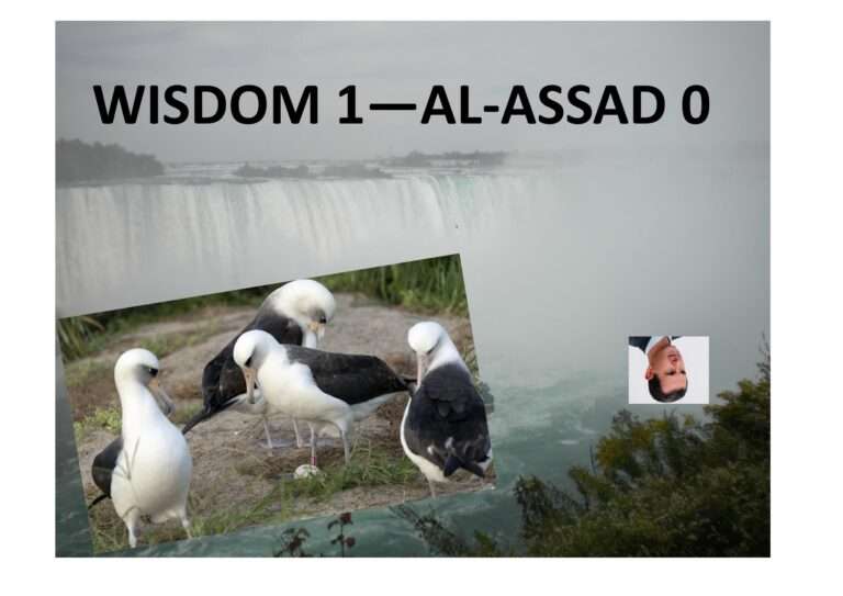 241209 al assad et wisdom