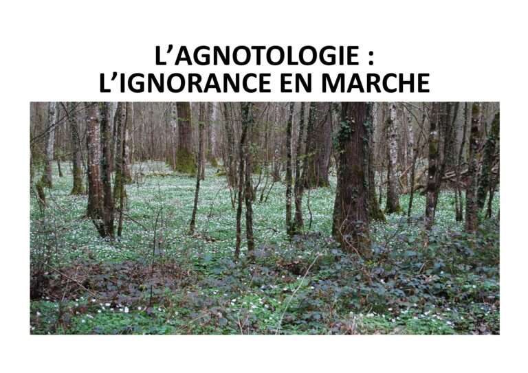 241214 l’agnotologie l’ignorance en marche