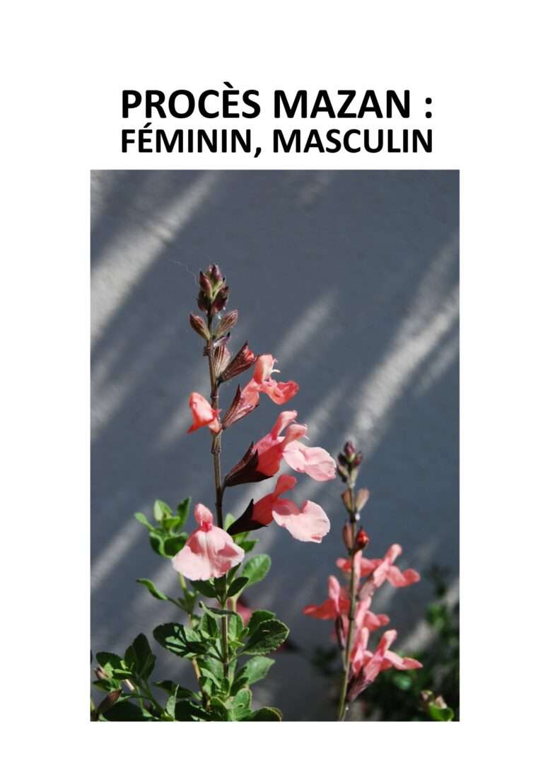 241219 procès mazan féminin masculin