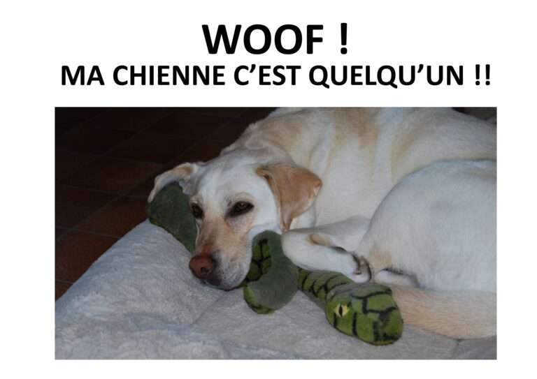241221 ma chienne c’est quelqu’un