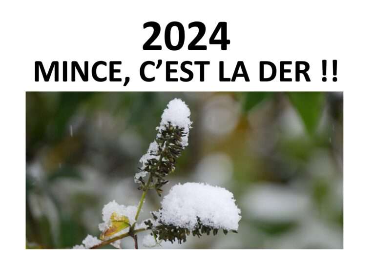 241231 2024 mince c’est la der