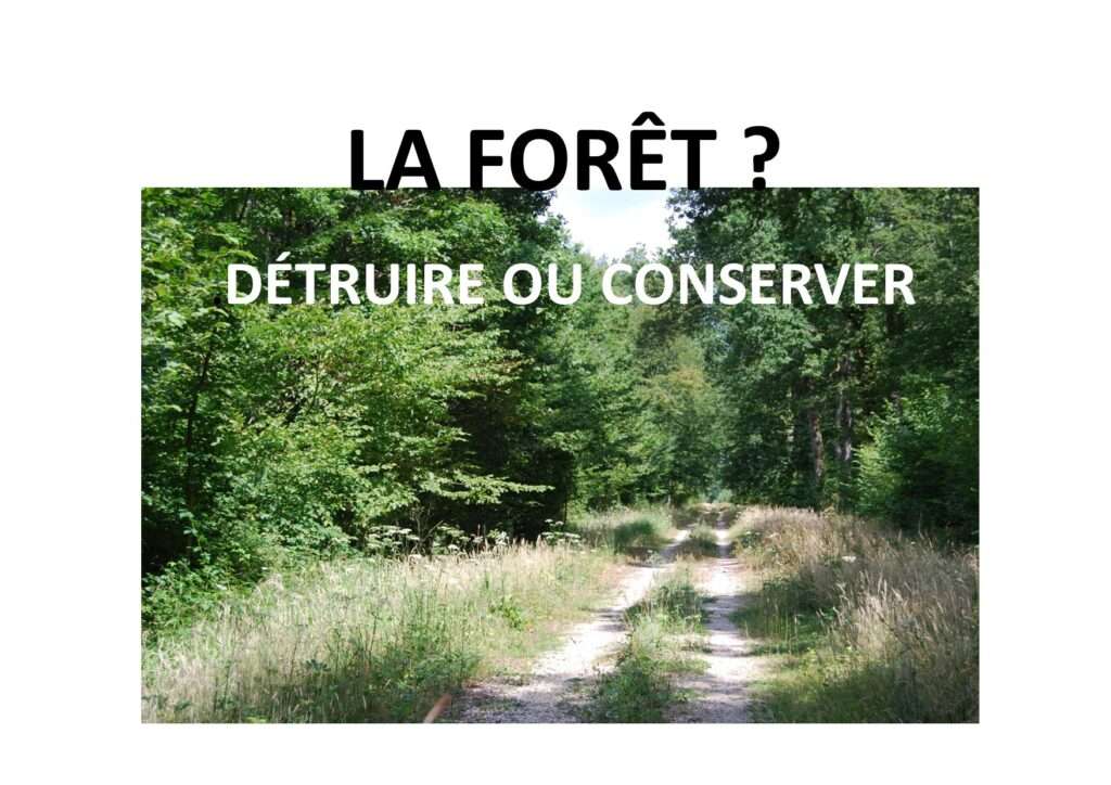 250124 détruire ou conserver la forêt