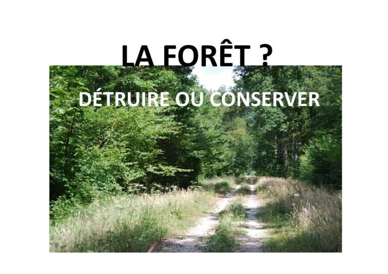 250124 détruire ou conserver la forêt