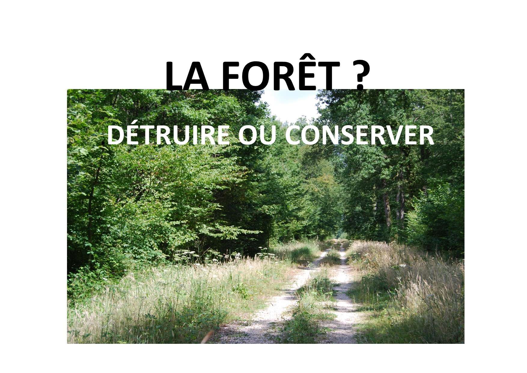 250124 détruire ou conserver la forêt