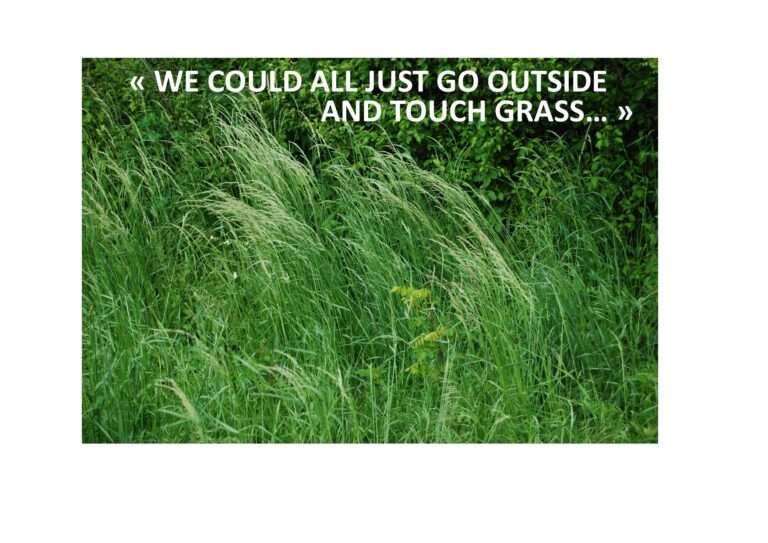 250125 we could all just go outside and touch grass