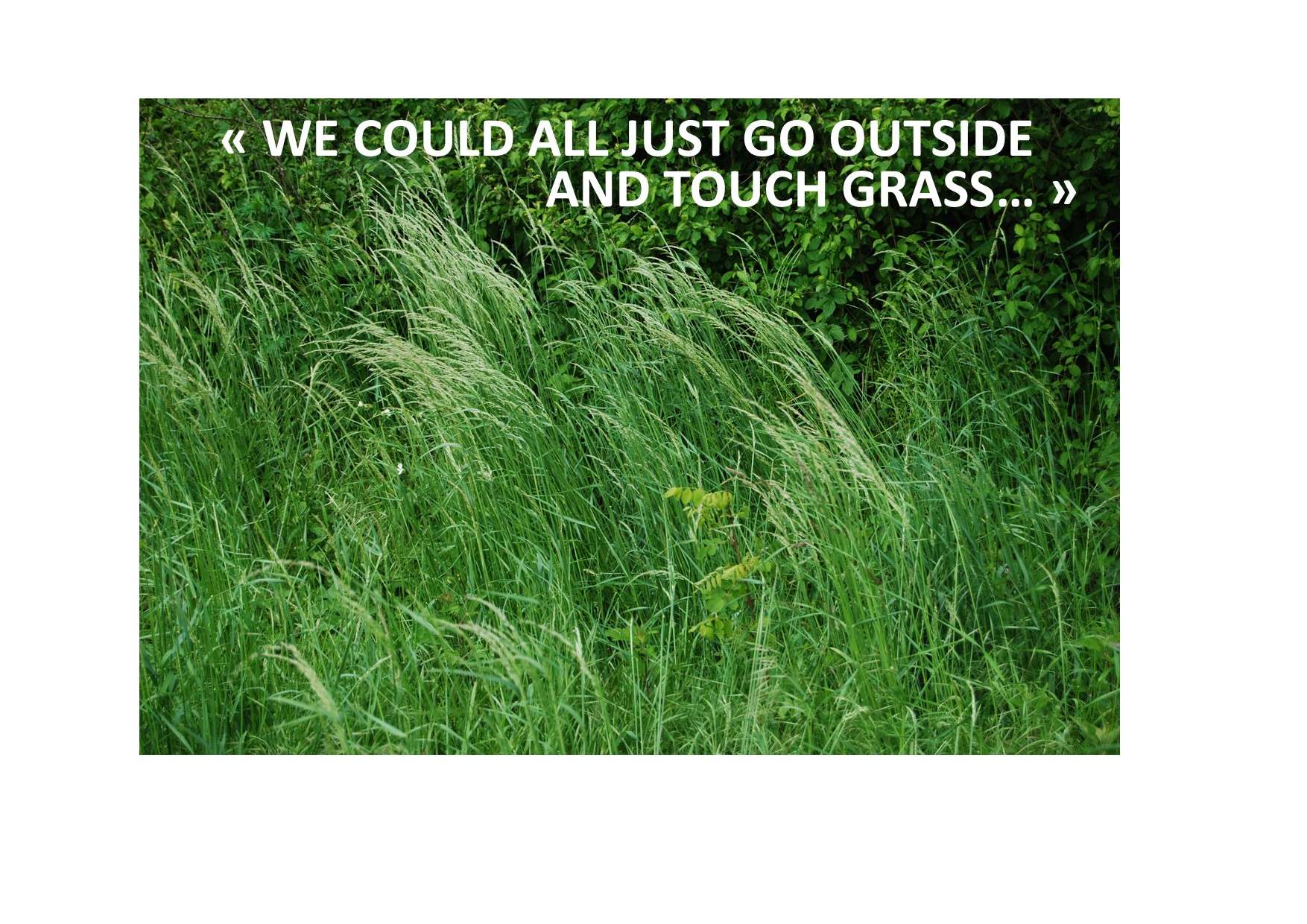 250125 we could all just go outside and touch grass
