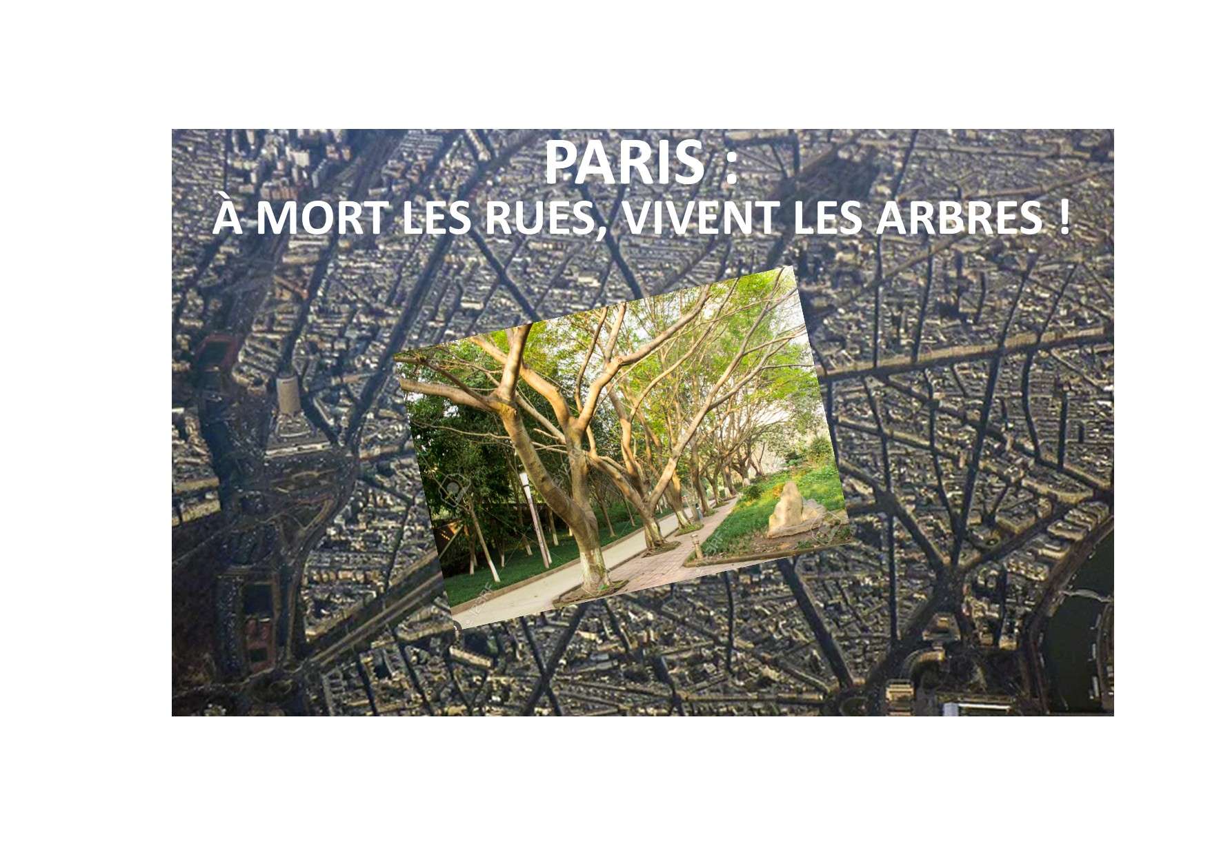 250126 paris à mort les rues, vivent les arbres