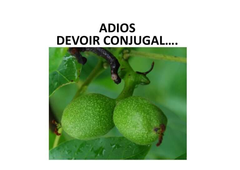 250129 adios devoir conjugal