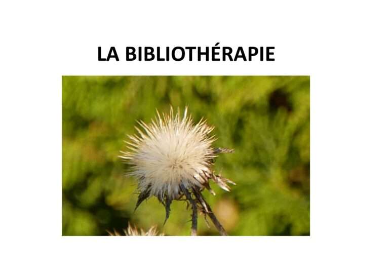 250203 la bibliothérapie