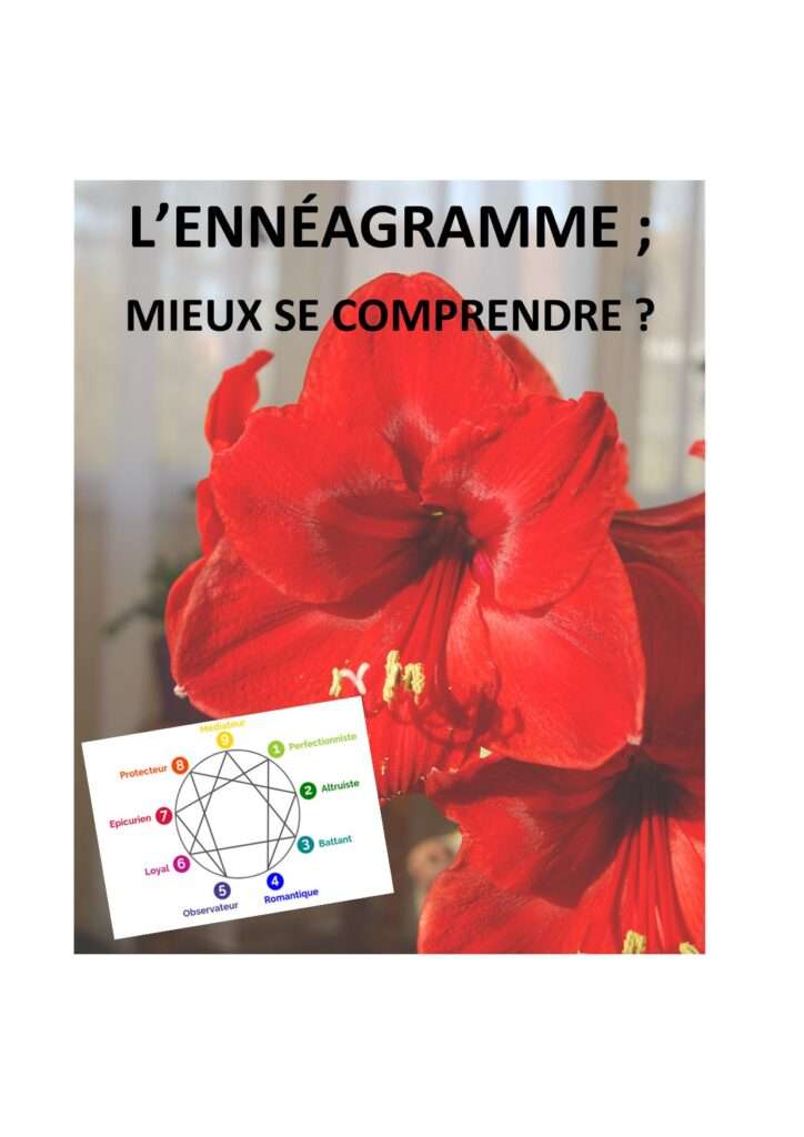 250205 ennéagramme mieux se comprendre