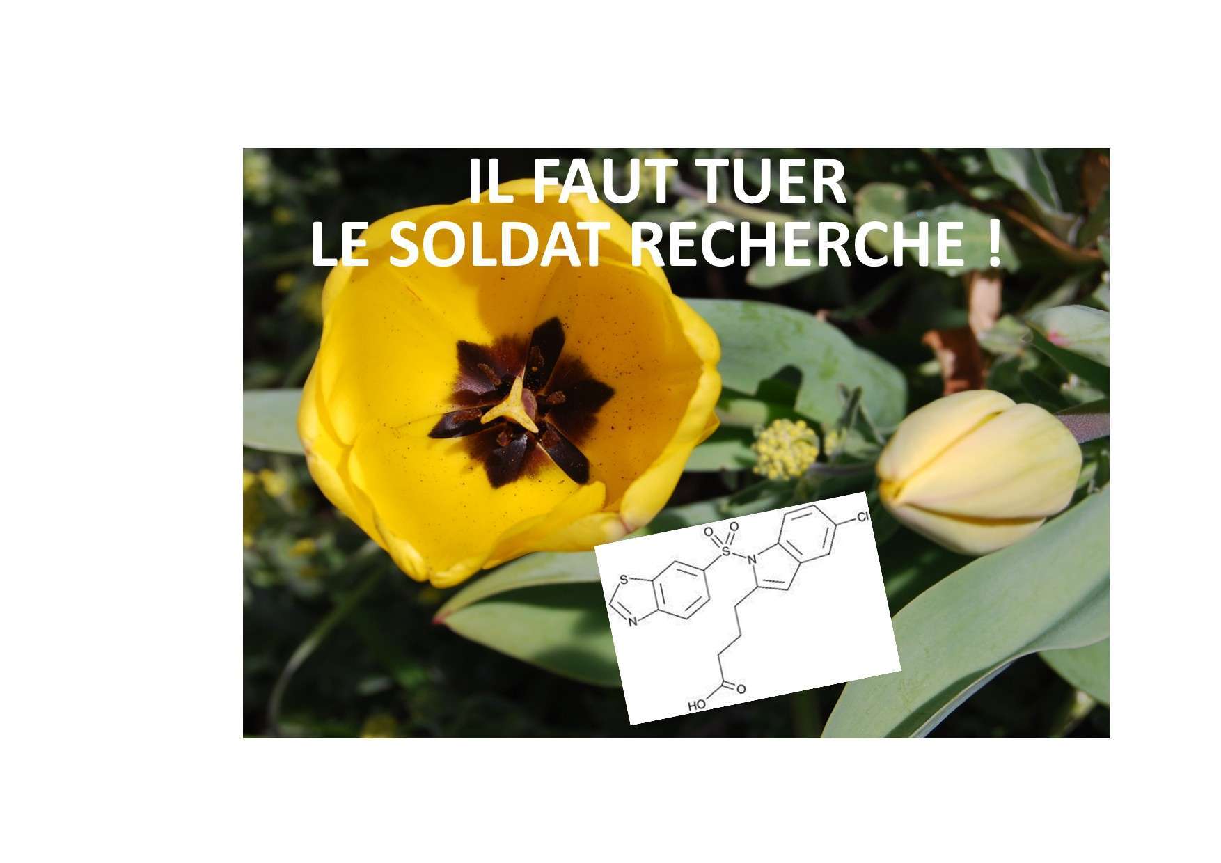 250214 il faut tuer le soldat recherche