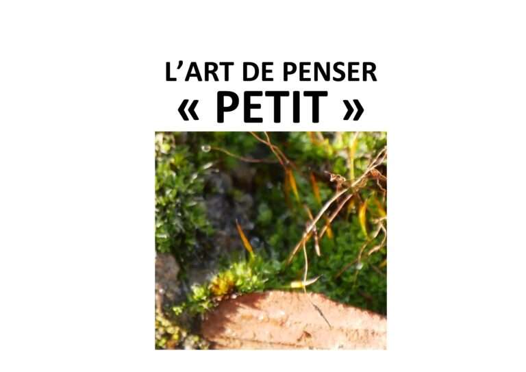 250226 l’art de penser petit