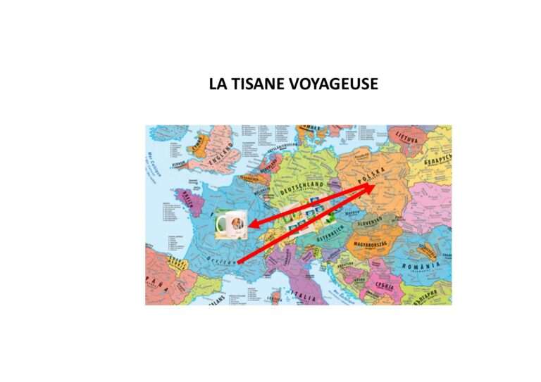 250311 la tisane voyageuse