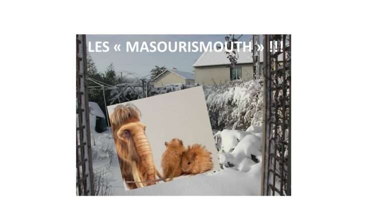 250313 les masourismouths