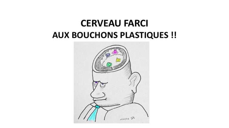 250314 cerveau farci aux plastique