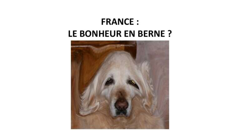 250321 le bonheur en berne